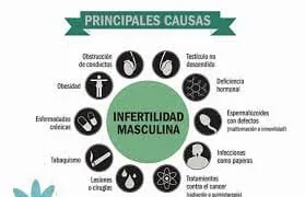 Causas de la infertilidad masculina 