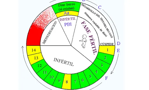 Método de Billings: un anticonceptivo natural