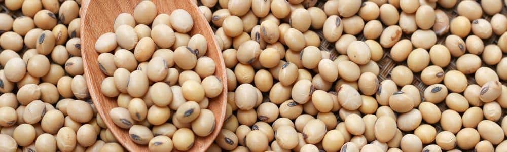 Dieta-Libre-de-Gluten-Caseina-y-Soja-para-autismo